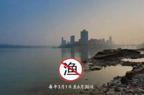 禁渔期什么时候开始?一般每年的3月1日或者4月1日开始