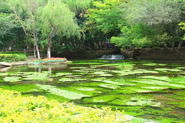 乌鲁木齐水磨沟风景区门票多少钱