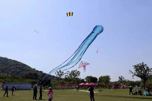 2022杭州超山风筝节举办时间及门票