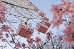 武汉四月份还有樱花吗