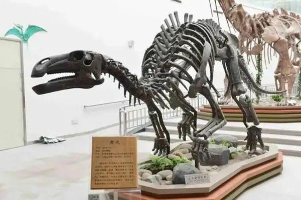 陕西自然博物馆门票多少钱2022
