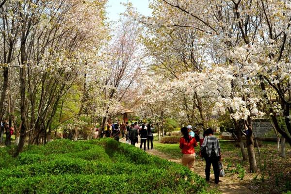 沈阳植物园景点介绍