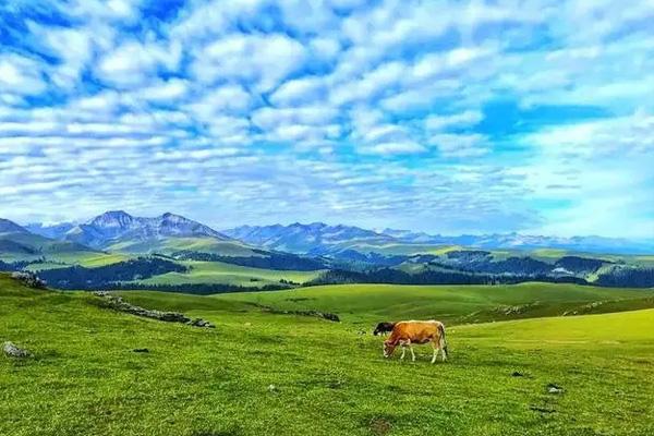 新疆喀拉峻草原旅游攻略2022
