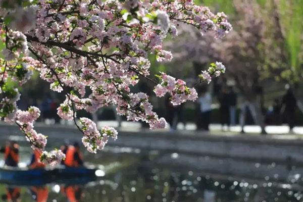 北京的海棠花溪在哪里