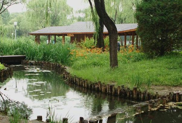 北京适合露营野餐的公园有哪些