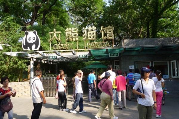 北京动物园奥运熊猫馆暂时关闭公告