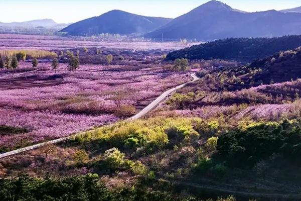 北京平谷区赏花路线推荐