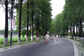 武漢東湖綠道騎行最佳路線