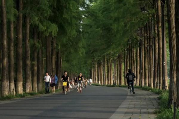 武汉东湖绿道骑行最佳路线