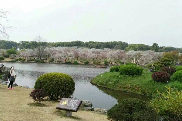 東湖磨山景區(qū)門票多少錢?有什么好玩的?