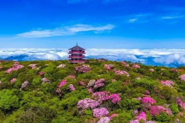 2022重庆五一去哪旅游最合适 重庆五一旅游最佳去处