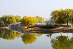 2022北京南海子公園游玩攻略