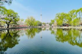 2022北京玉渊潭公园游玩攻略 - 门票价格 - 开放时间 - 交通