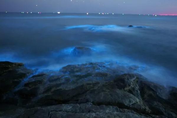 阳江海陵岛蓝眼泪几月会有 附没有雅看攻略