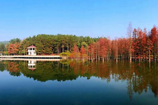 武汉九真山风景区门票多少钱