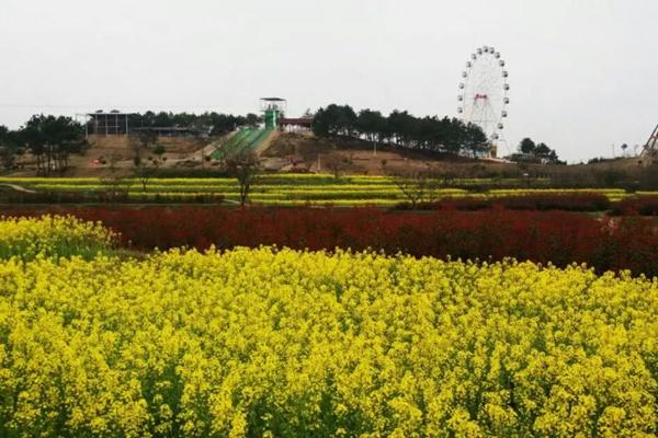 黃陂大余灣要門票嗎?多少錢?