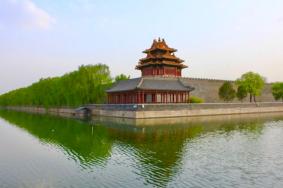 北京景山公園牡丹花開時間2022