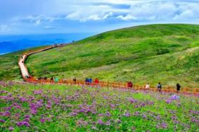 毕节韭菜坪几月去最好 毕节韭菜坪十月还有花吗