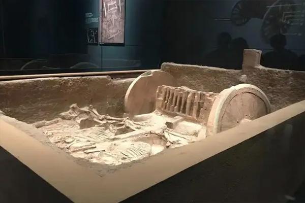 陕西考古博物馆试运行期间门票免费2022