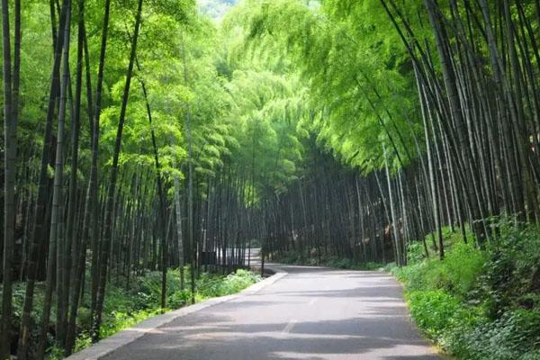 宜興竹海風景區一日游旅游攻略