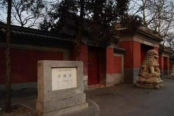 北京法源寺丁香花什么时候开