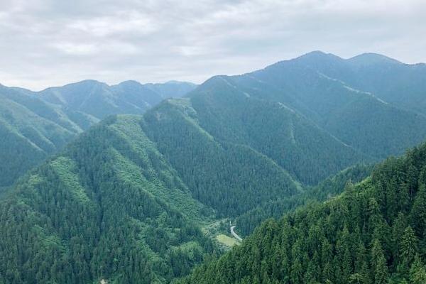 2022兴隆山自然保护区简介 - 开放时间 - 游玩攻略
