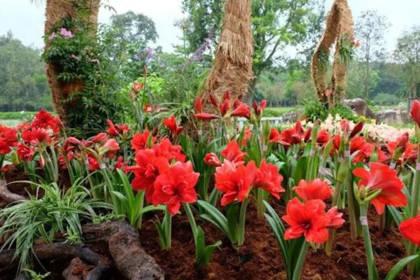 秦岭国度植物园五一有花展吗