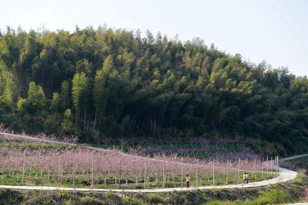 4月25日零时起南昌摘星了 这份春日旅行计划请收好了