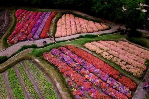 广州二龙山花园好玩吗