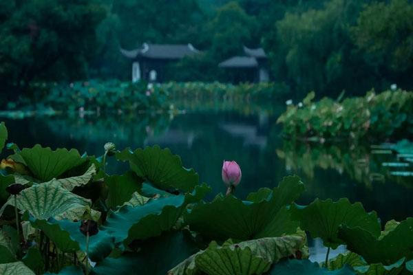 杭州西湖免费景点有哪些