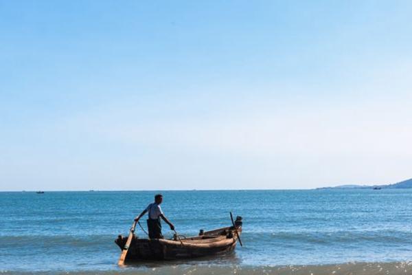 夏季去广西青秀山赏景的指南是什么 (广西去青海怎么走合适)