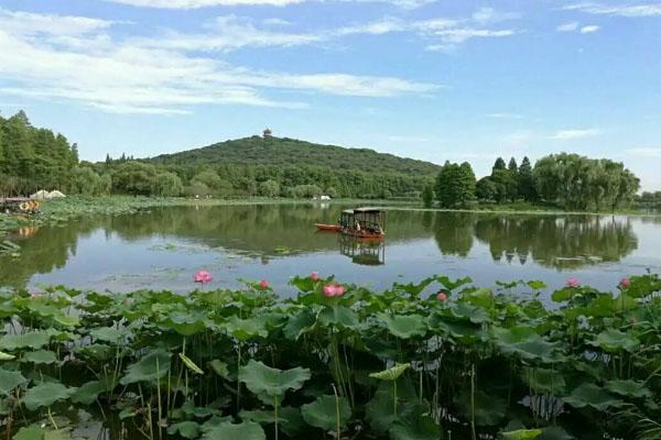 无锡哪些地方适合野餐