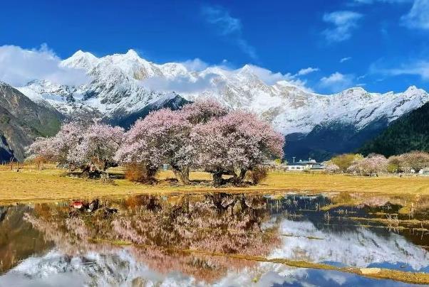 西藏哪里的风景最好看 最好的风景在哪里