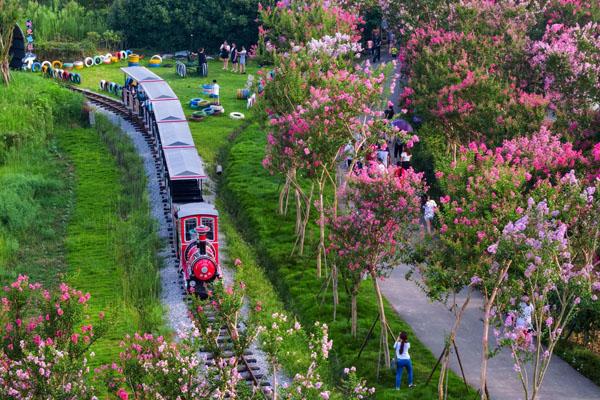 武漢5月賞花地點(diǎn) 最佳賞花地點(diǎn)推薦