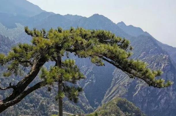 中國旅游登山景點 熱門山岳景區