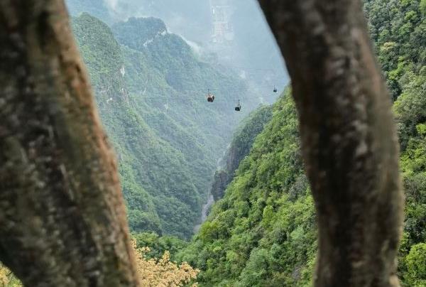 中國旅游登山景點 熱門山岳景區