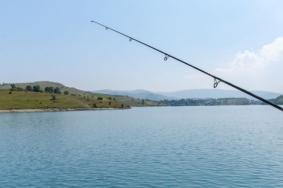 长沙岳麓区哪里可以免费钓鱼