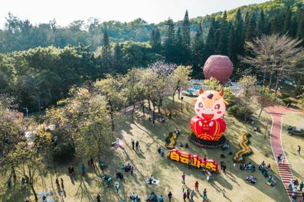 廣州周邊適合露營的地方有哪些