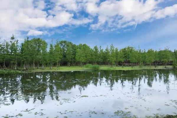 2023同里国家湿地公园开放时间 - 门票价格 - 地址 - 旅游攻略