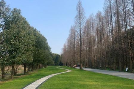 2023同里国家湿地公园开放时间 - 门票价格 - 地址 - 旅游攻略