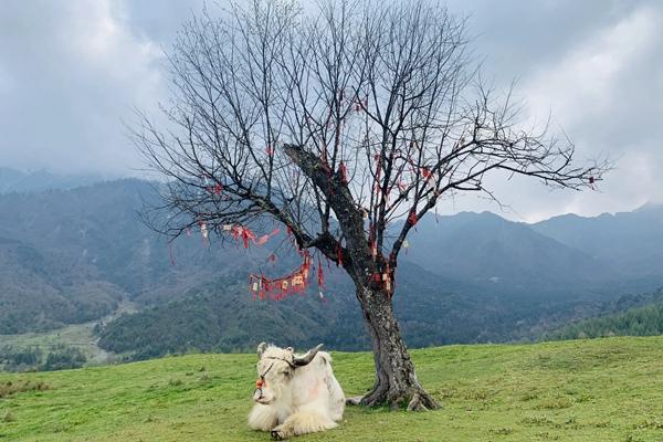 神木垒适合什么时候去?露营好玩吗?