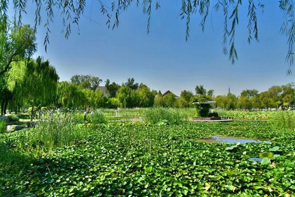 天津水上公園免費(fèi)嗎 門票價格是多少