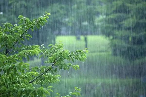 2022年梅雨季节是什么时间 梅雨季节是几月份到几月份结束