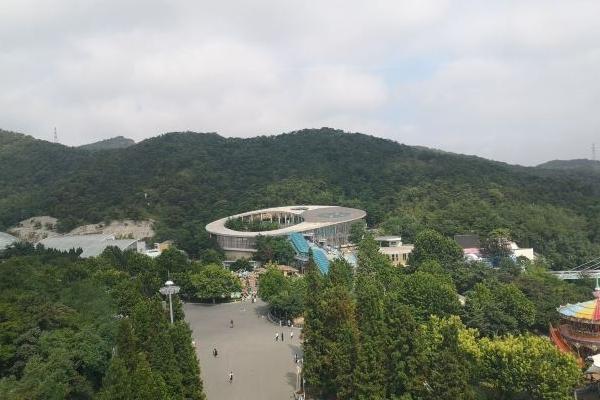 大連森林動物園有什么動物