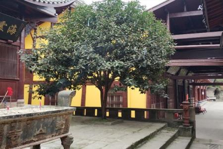 2024重庆涂山寺旅游攻略 - 门票价格 - 开放时间 - 交通 - 简介 - 天气 - 地址 - 电话