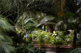 2022天津热带植物观光园门票多少钱 附最新开放时间及地址