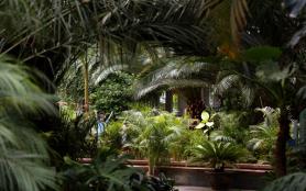 2022天津熱帶植物觀光園門票多少錢 附最新開放時間及地址