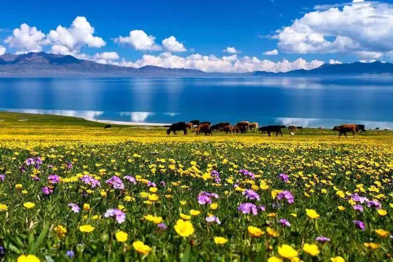 2022年新疆旅游怎么玩?从5月开始上百项文旅活动带你嗨到10月