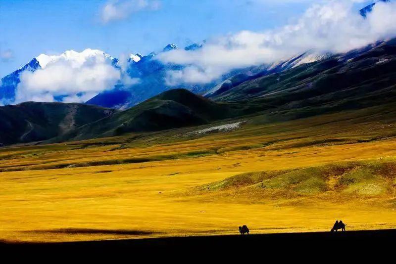 2022年新疆旅游怎么玩?从5月开始上百项文旅活动带你嗨到10月