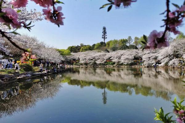 2022湖南省植物园怎么预约门票 附预约时间及流程